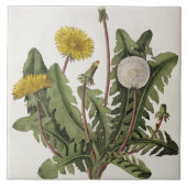 Löwenzahn (Farbstich) Fliese (Vorderseite)