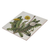 Löwenzahn (Farbstich) Fliese (Seite)