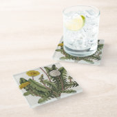 Löwenzahn (Farbstich) Glasuntersetzer (Schrägansicht)