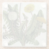 Löwenzahn (Farbstich) Glasuntersetzer (Rückseite)