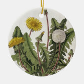 Löwenzahn (Farbstich) Keramikornament (Vorne)