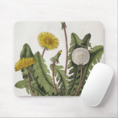 Löwenzahn (Farbstich) Mousepad (Mit Mouse)