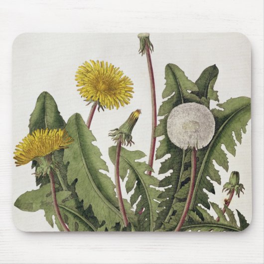 Löwenzahn (Farbstich) Mousepad (Vorne)