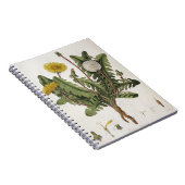 Löwenzahn (Farbstich) Notizblock (Rechte Seite)