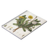 Löwenzahn (Farbstich) Notizblock (Linke Seite)