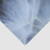 Löwenzahn-Flaum Seidenpapier (Ausschnitt)