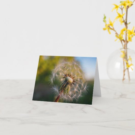 Löwenzahn Fluffball Notecard Karte (Gelbe Blume)