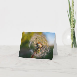 Löwenzahn Fluffball Notecard Karte
