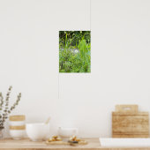 Löwenzahn-Fotoplakat Poster (Küche)