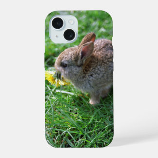 Löwenzahn für Baby-Kaninchen iPhone / iPad-Hülle 15 Hülle