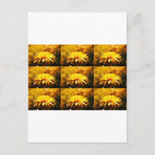 Löwenzahn Gelbe Blüten Blumen Reben Frühling Postkarte
