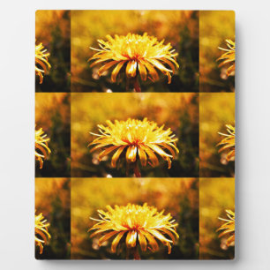Löwenzahn-gelber Blüten-Blumen-Rebe-Frühling Fotoplatte