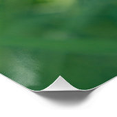 Löwenzahn im Grün mit weichem Sommerlicht Poster (Ecke)