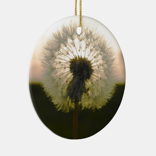 Löwenzahn in der Sonne Keramikornament (Rechts)