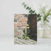 Löwenzahn in der Sonne. Postkarte (Stehend Vorderseite)