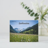 Löwenzahn in Steg Liechtenstein Postkarte (Stehend Vorderseite)