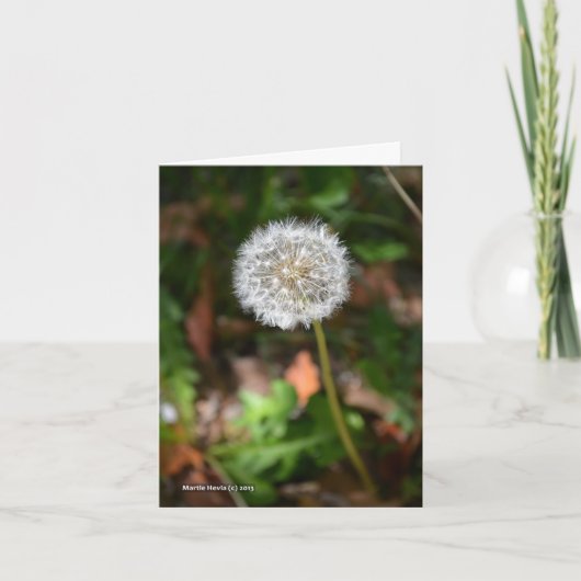 Löwenzahn Karte (Vorderseite)