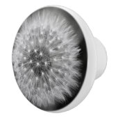 Löwenzahn Keramikknauf (Rechts)