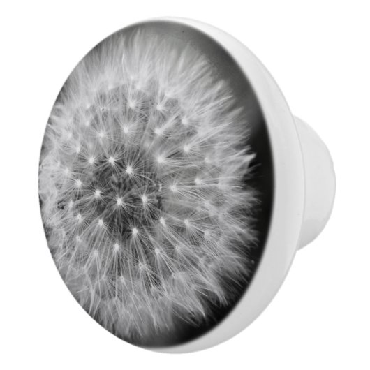 Löwenzahn Keramikknauf (Rechts)