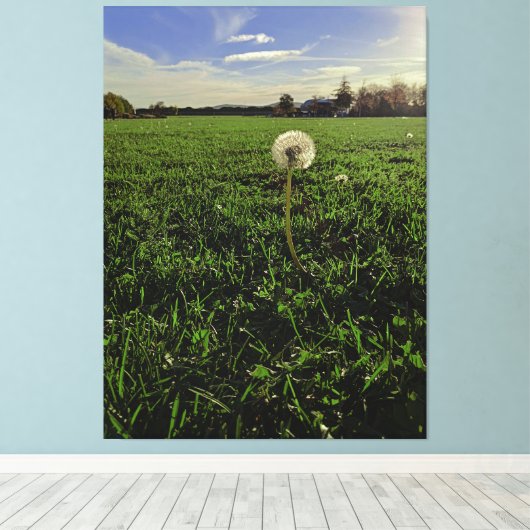 Löwenzahn Leinwanddruck (Insitu (Holzboden))