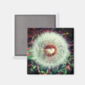 Löwenzahn Magnet (Vorderseite/Rückseite)