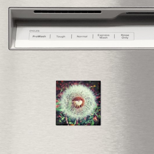 Löwenzahn Magnet (In Situ (Geschirrspüler))