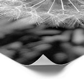 Löwenzahn Poster (Ecke)