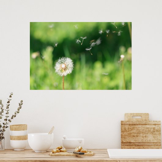 Löwenzahn Poster (Küche)