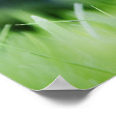 Löwenzahn Poster (Ecke)