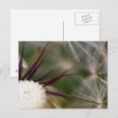 Löwenzahn Postkarte (Vorne/Hinten)