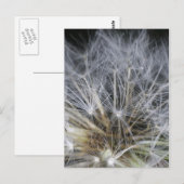 Löwenzahn Postkarte (Vorne/Hinten)