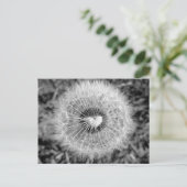 Löwenzahn Postkarte (Stehend Vorderseite)