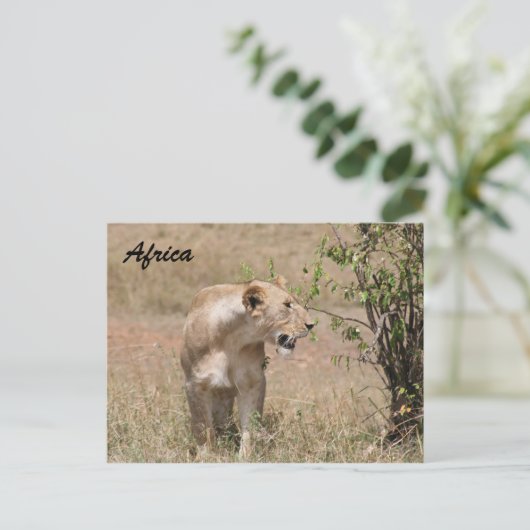 Löwenzahn Postkarte (Stehend Vorderseite)