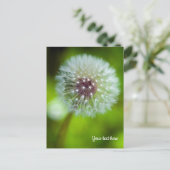 Löwenzahn-Postkarte Postkarte (Stehend Vorderseite)