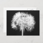 Löwenzahn-Postkarte Postkarte (Vorne/Hinten)