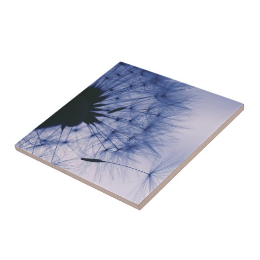 Löwenzahn-Samen Fliese (Seite)