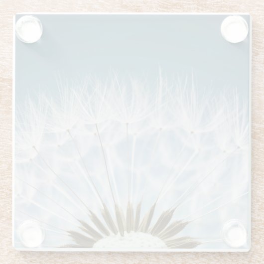 Löwenzahn-Samen Glasuntersetzer (Rückseite)