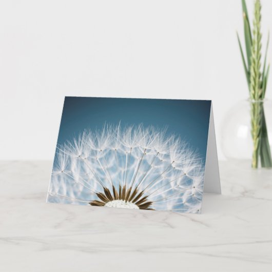 Löwenzahn-Samen Karte (Vorderseite)