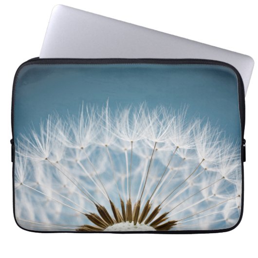 Löwenzahn-Samen Laptopschutzhülle (Vorderseite)