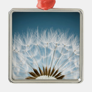 Löwenzahn-Samen Ornament Aus Metall