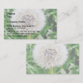 Löwenzahn-Samen Visitenkarte (Vorne/Hinten)