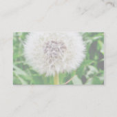 Löwenzahn-Samen Visitenkarte (Rückseite)