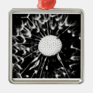 Löwenzahn schwarz ornament aus metall
