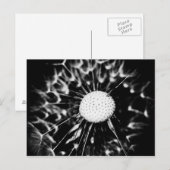 Löwenzahn schwarz postkarte (Vorne/Hinten)