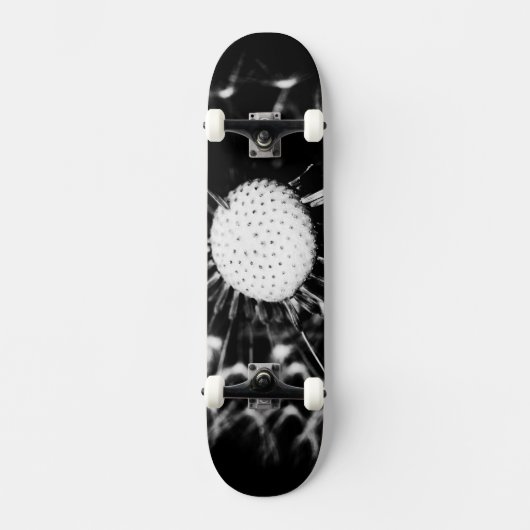 Löwenzahn schwarz skateboard (Vorderseite)