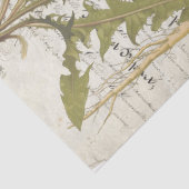 Löwenzahn-Script-Decoupage-Tissue-Bögen Seidenpapier (Detail)