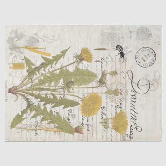 Löwenzahn-Script-Decoupage-Tissue-Bögen Seidenpapier (Vorderseite)