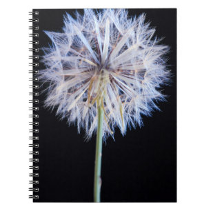 Löwenzahn (Taraxacum Officinale) Samenstand Notizblock