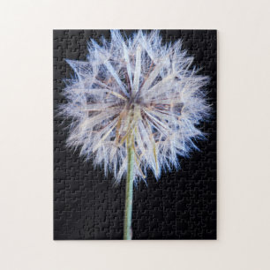Löwenzahn (Taraxacum Officinale) Samenstand Puzzle