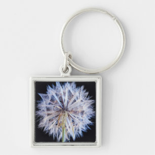 Löwenzahn (Taraxacum Officinale) Samenstand Schlüsselanhänger